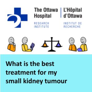 Teatment decision aid for patients with small kidney tumours